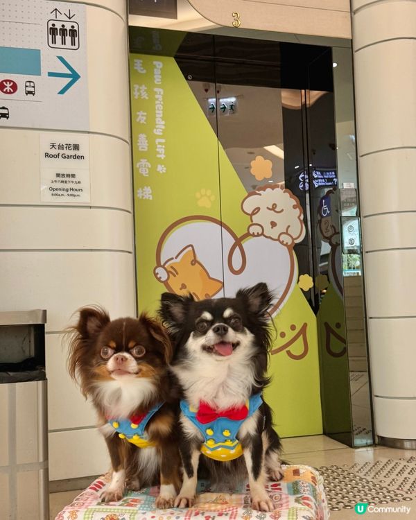 ｢青新貓狗樂園 ｣