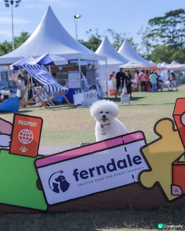 唔可以錯過📍香港最大型戶外 🥎過萬尺 🩷狗狗嘉年華💭