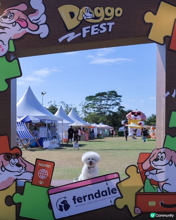 唔可以錯過📍香港最大型戶外 🥎過萬尺 🩷狗狗嘉年華💭