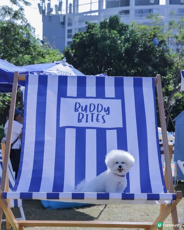 唔可以錯過📍香港最大型戶外 🥎過萬尺 🩷狗狗嘉年華💭