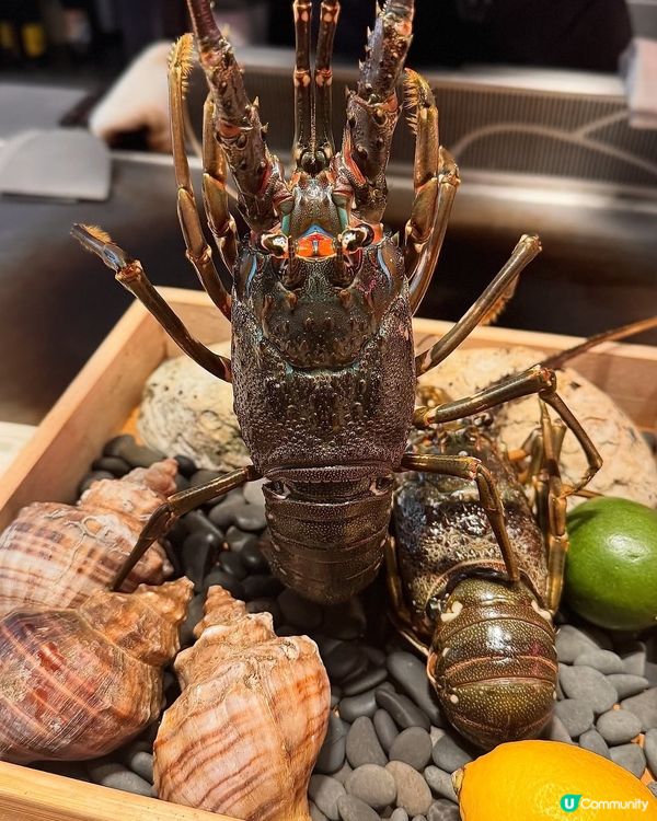 深圳鐵板燒🤤！工業風東京feel！🔥