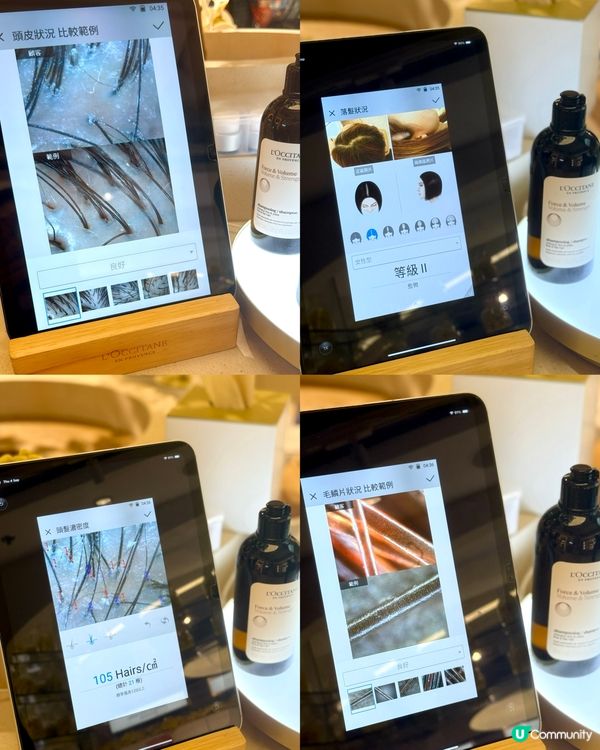 聖誕一齊換新造型🎄