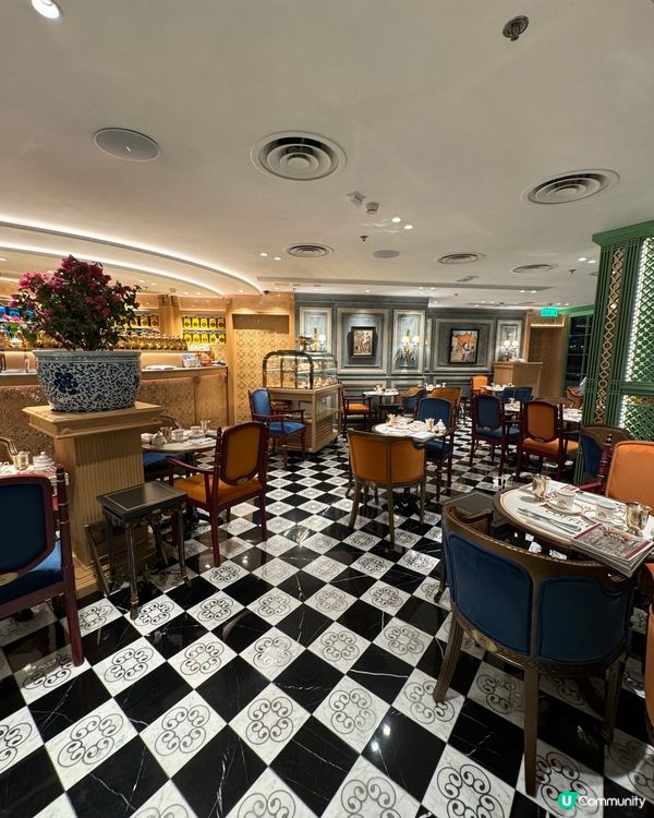 摩洛哥風情咖啡店！😋 尖咀歎塔斯曼尼亞三文魚！🐟