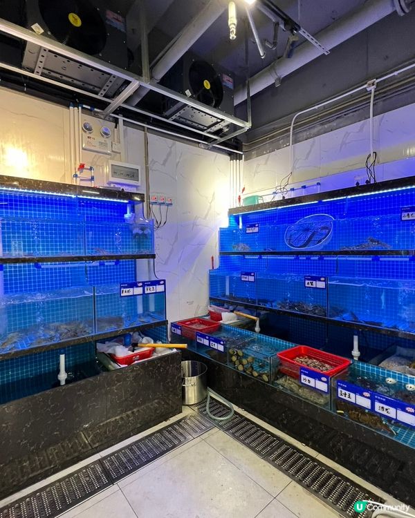 大地小館海鮮餐！抵食過香港大排檔！😋🦀🐟