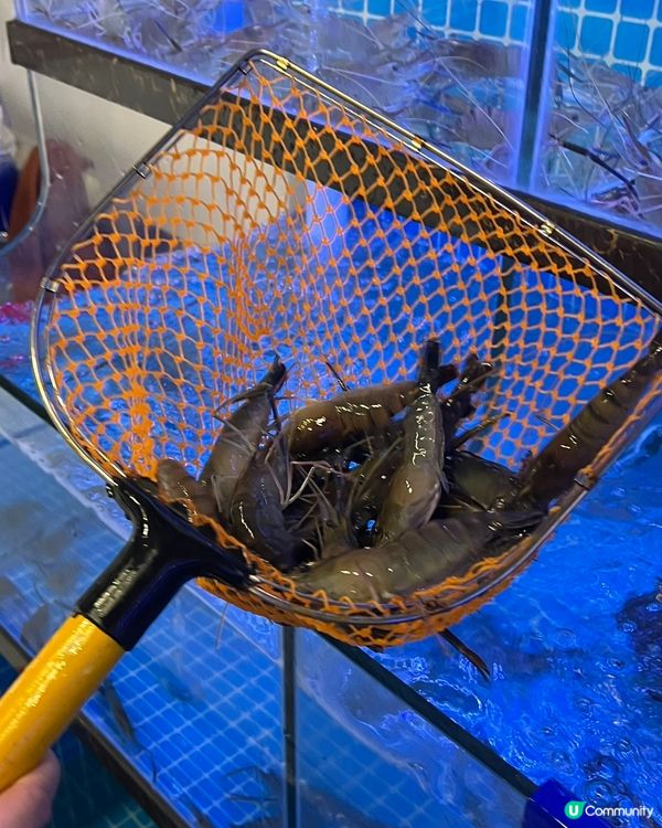 大地小館海鮮餐！抵食過香港大排檔！😋🦀🐟