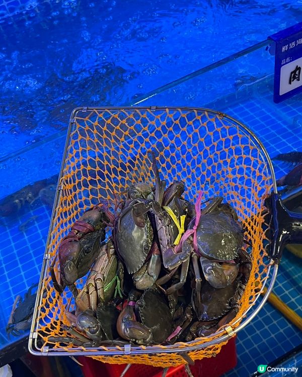 大地小館海鮮餐！抵食過香港大排檔！😋🦀🐟