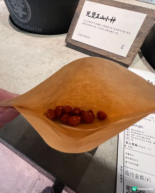 李山山茶事暴擊！瓦煲抹茶x春山雪融奶泡巔峰🍵