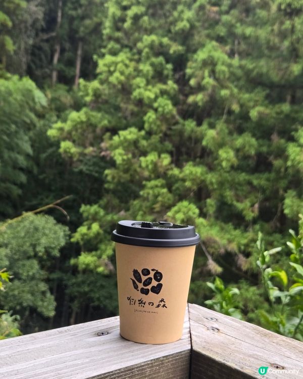系島篇：超好打卡森林cafe