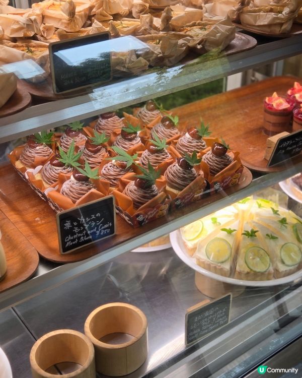 系島篇：超好打卡森林cafe