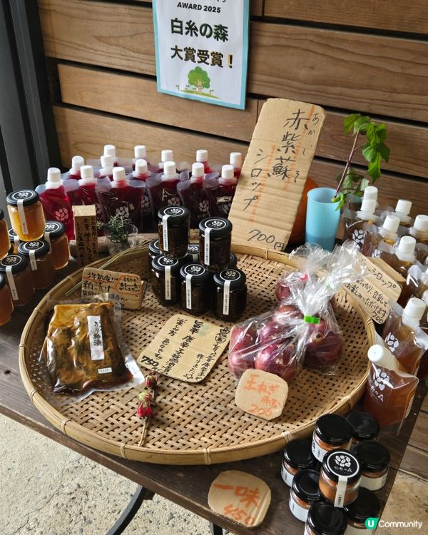 系島篇：超好打卡森林cafe