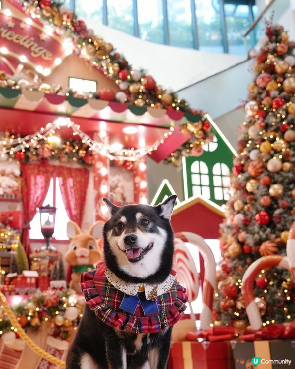 康城聖誕夢幻小鎮🎄！打卡位勁多📸！