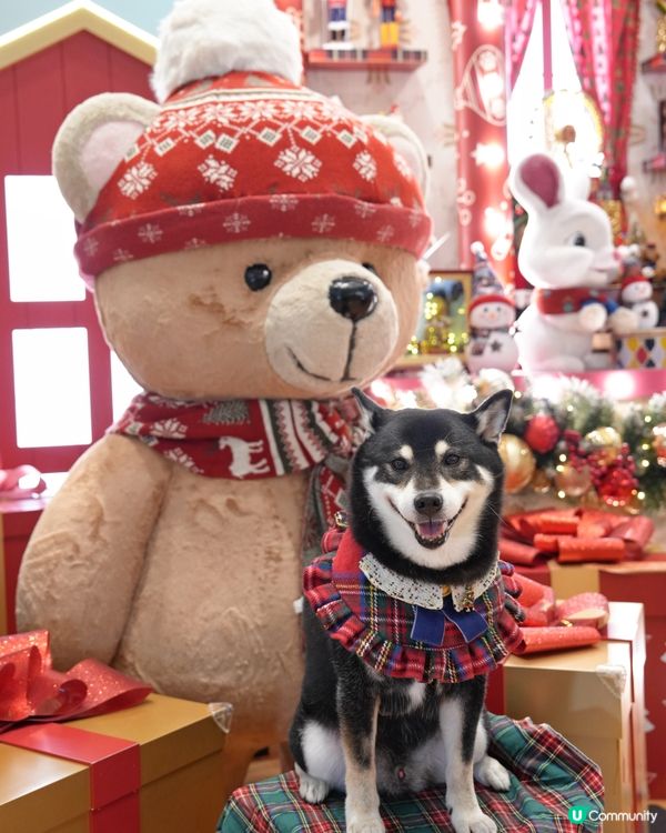 康城聖誕夢幻小鎮🎄！打卡位勁多📸！