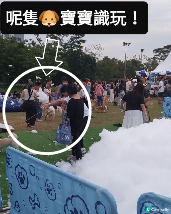 Doggo Fest狗界盛事就在西九龍！