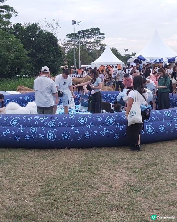 Doggo Fest狗界盛事就在西九龍！