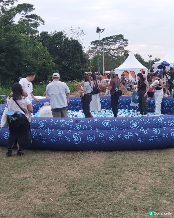 Doggo Fest狗界盛事就在西九龍！