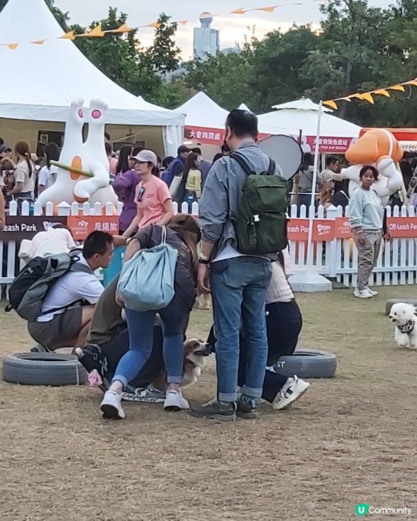 Doggo Fest狗界盛事就在西九龍！