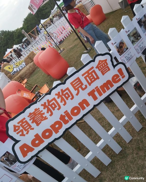 Doggo Fest狗界盛事就在西九龍！