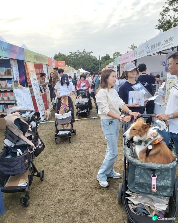 Doggo Fest狗界盛事就在西九龍！