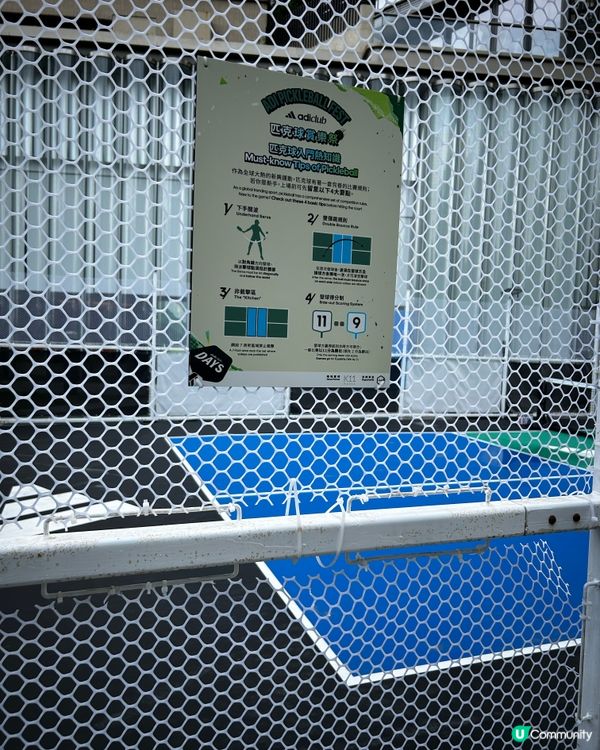 在寒風中不飄是實用的匹克球🏸🥳