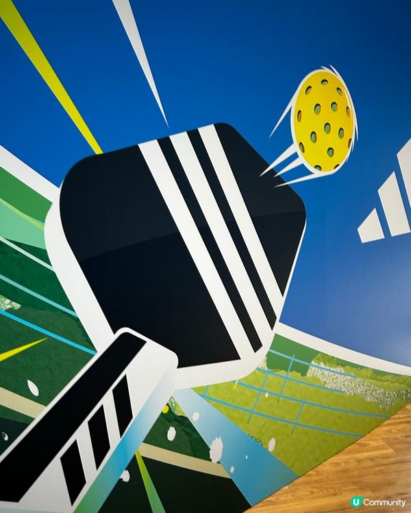 在寒風中不飄是實用的匹克球🏸🥳