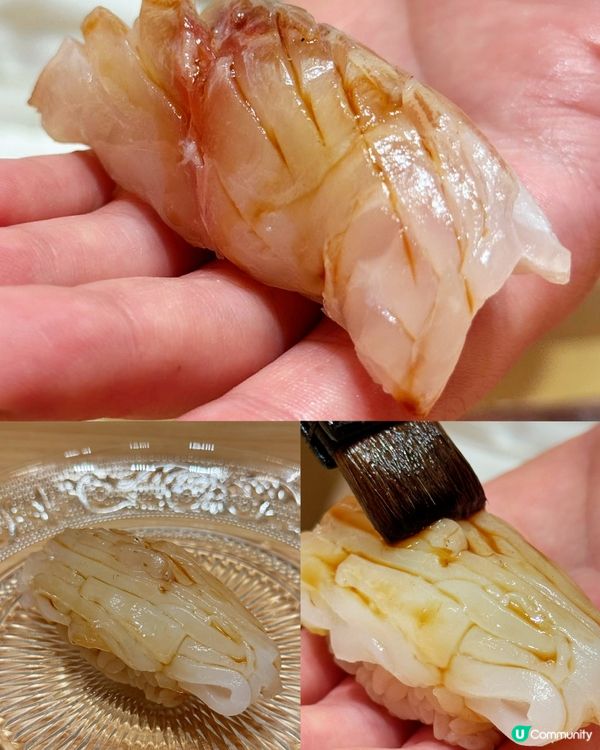 深圳攻略！巴掌壽司🇯🇵🍣！