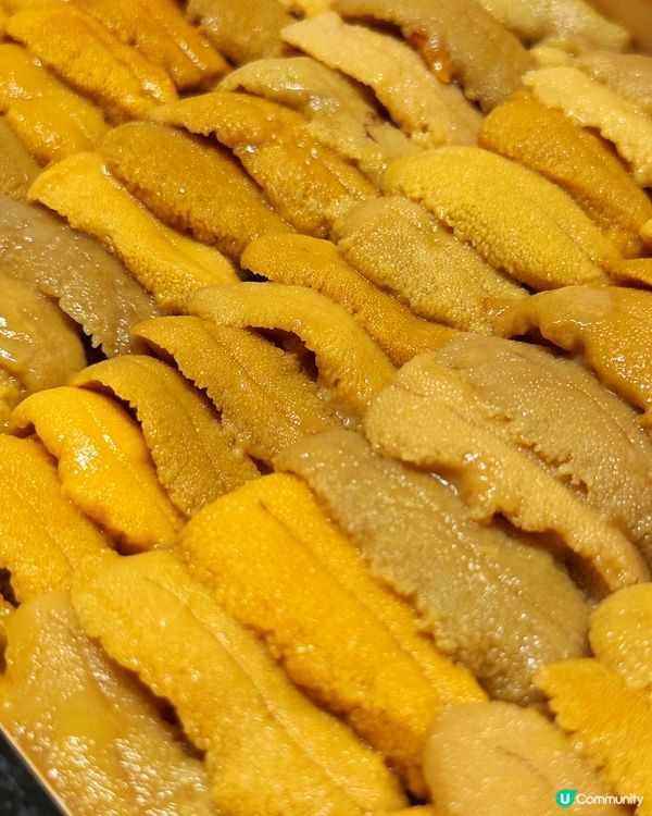 深圳攻略！巴掌壽司🇯🇵🍣！