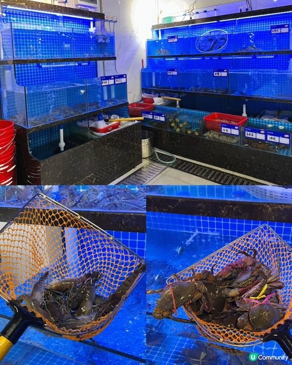 1. 深圳掃街必食！羅湖海鮮大排檔🤤抵食夾大件！人均$80！