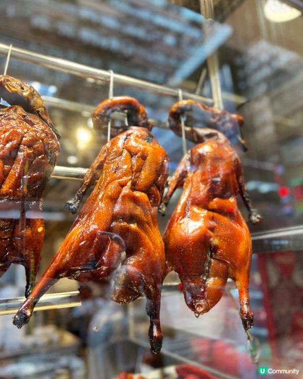 燒臘控必睇！旺角/中環都食到🤤🔥