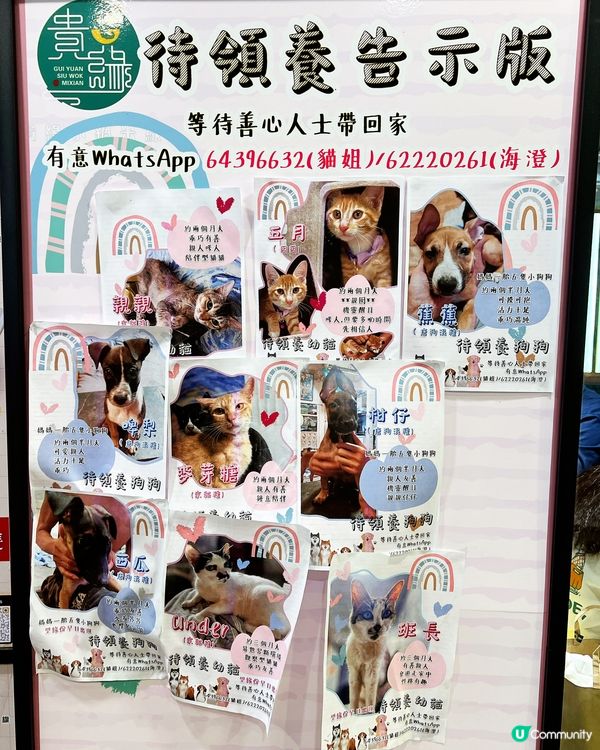 1.  十年老字號米線🍜！無味精湯底勁正😋！ #北角美食