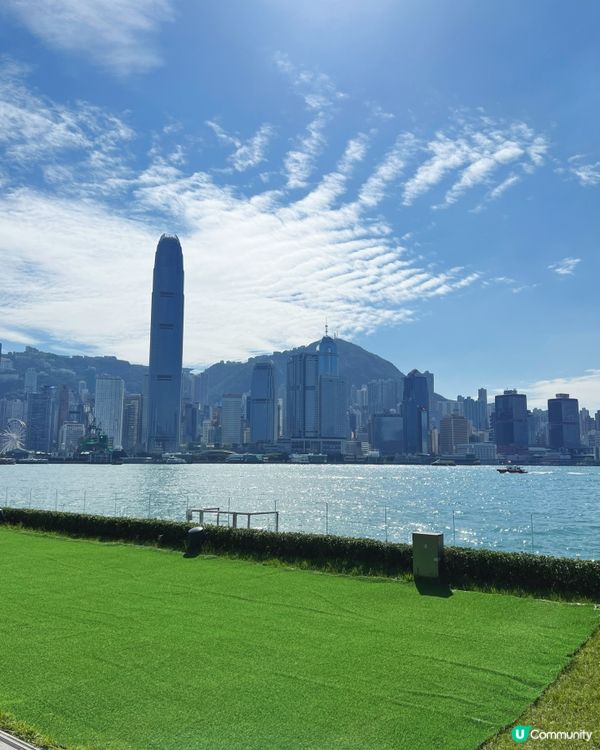 海港城中菜廳！維港靚景嘆新派點心😍