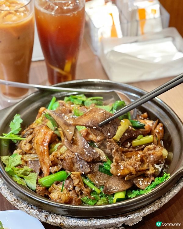 銅鑼灣四川菜🌶️！香鍋必試🤤！