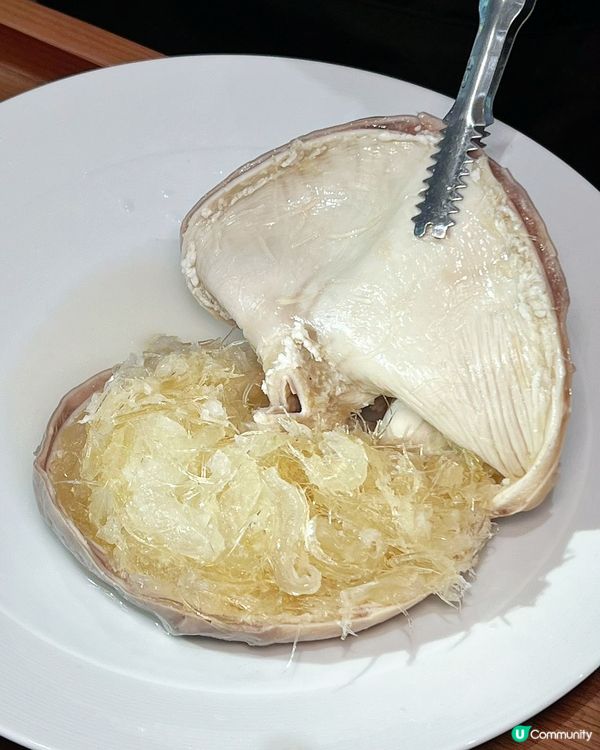 蓮塘北上玩樂攻略！順德公新店開張🥳！