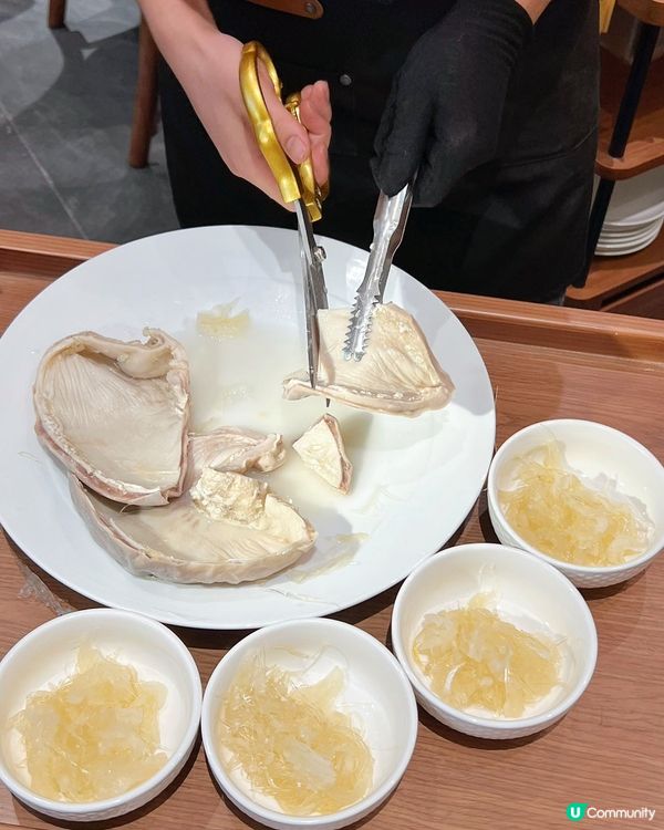 蓮塘北上玩樂攻略！順德公新店開張🥳！