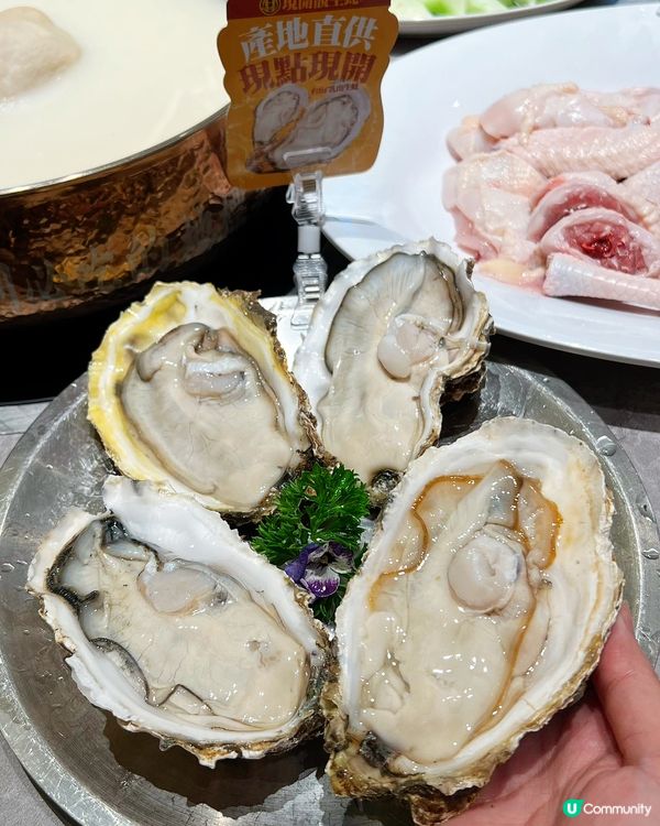 蓮塘北上玩樂攻略！順德公新店開張🥳！