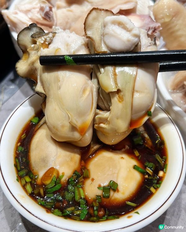 蓮塘北上玩樂攻略！順德公新店開張🥳！