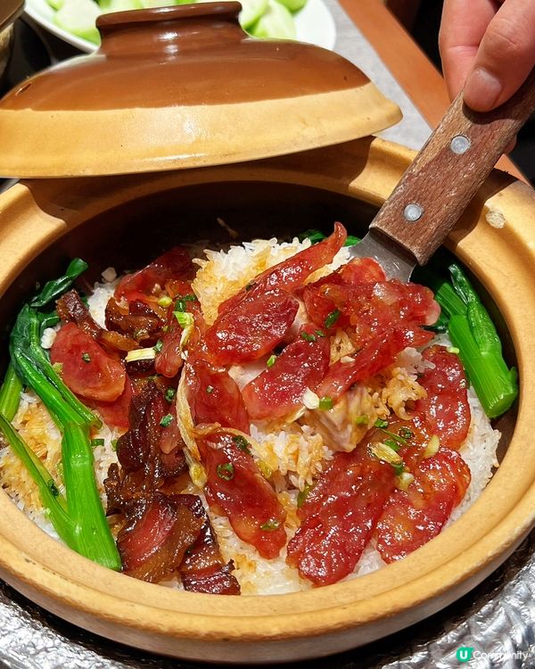 蓮塘北上玩樂攻略！順德公新店開張🥳！