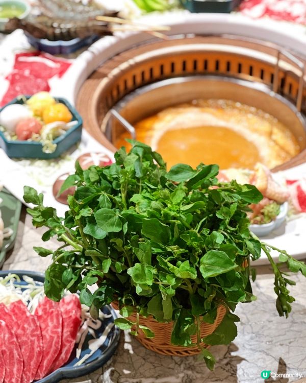 荃灣火鍋推介！七折嘆養生美顏鍋🍲！