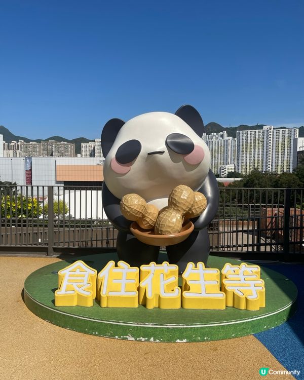 全港首個恐龍樂園🦖BB放電好去處！