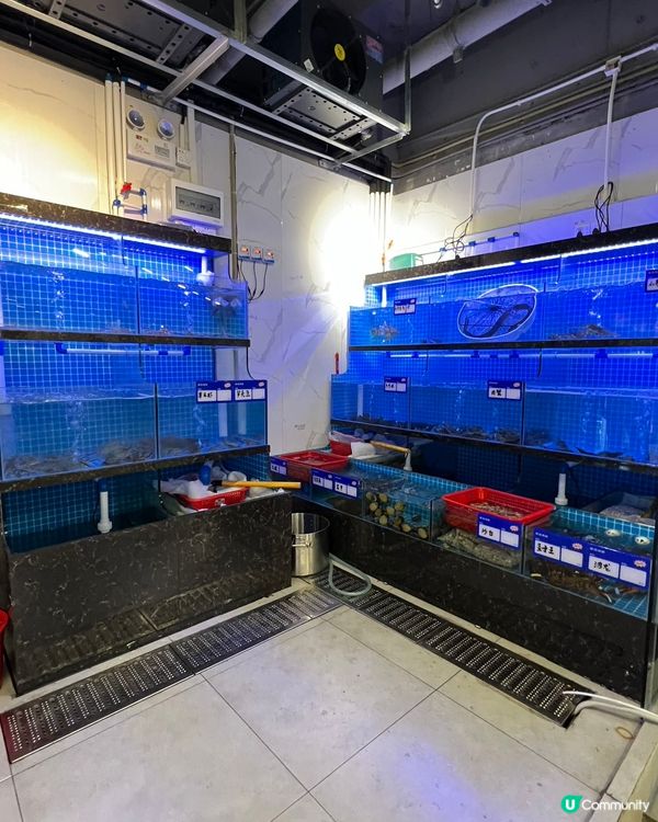 【港人北上食海鮮🤤】羅湖掃街攻略！80蚊飽到撐！