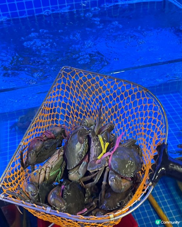 【港人北上食海鮮🤤】羅湖掃街攻略！80蚊飽到撐！