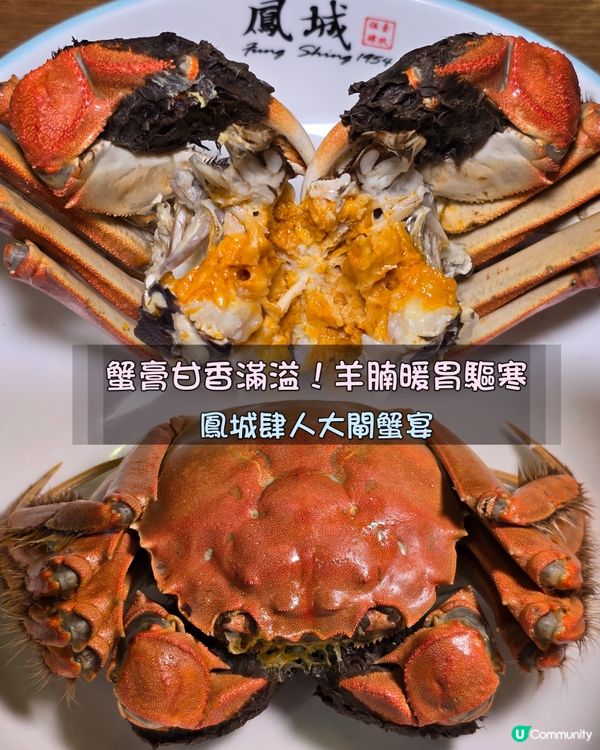 大閘蟹宴開鑼🦀！爆膏滋味😋！