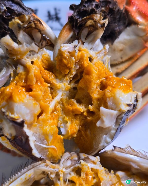 大閘蟹宴開鑼🦀！爆膏滋味😋！