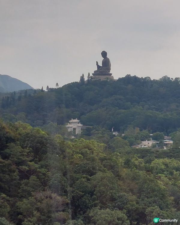 秋高氣爽，風和日麗，最好係到東诵搭吊車直上昂坪，觀賞寶蓮寺及