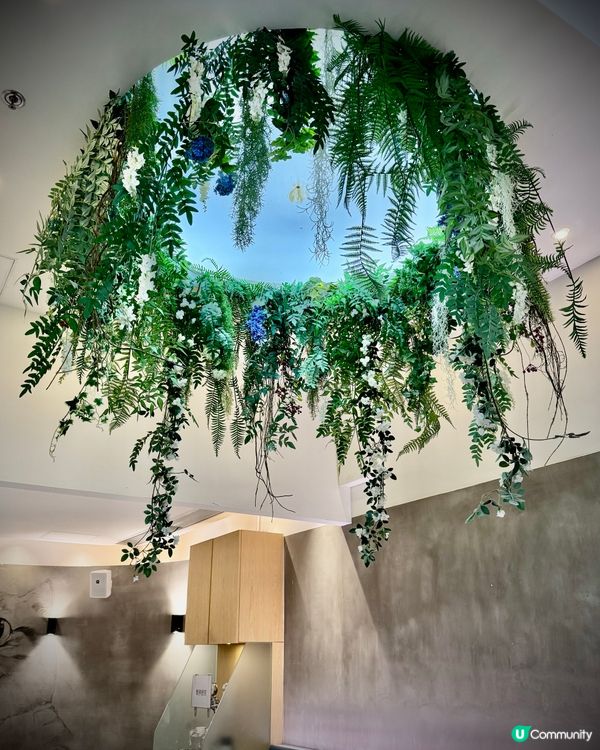 觀塘西餐推介🤩 Gym友啱🤤狗狗都啱嘅餐廳🐶