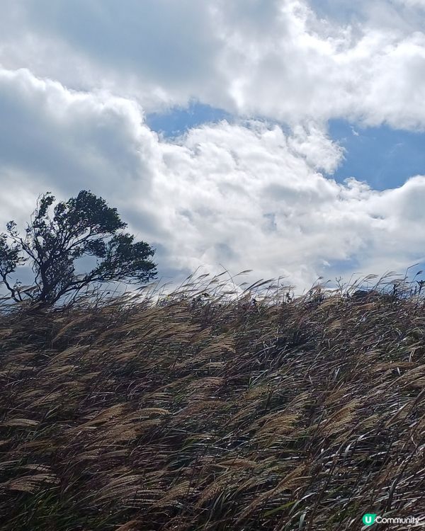 生日免費坐昂坪360