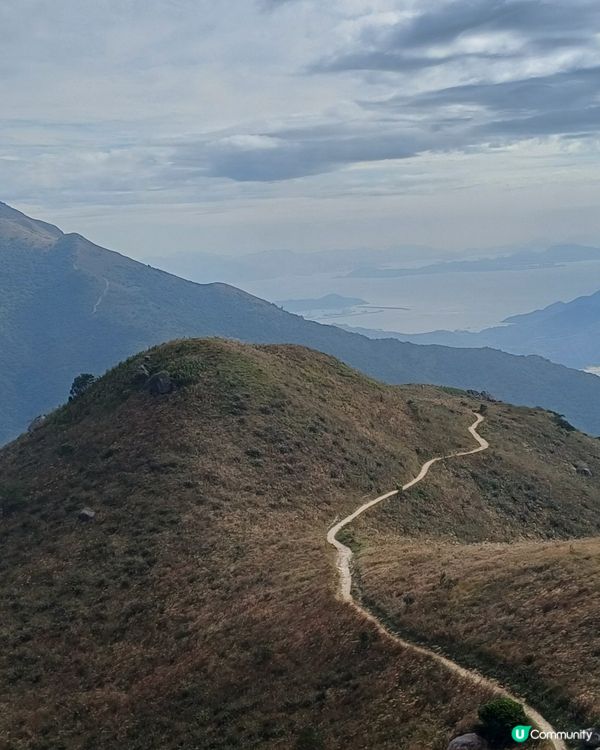 生日免費坐昂坪360