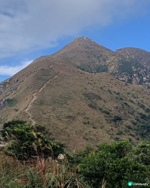 生日免費坐昂坪360