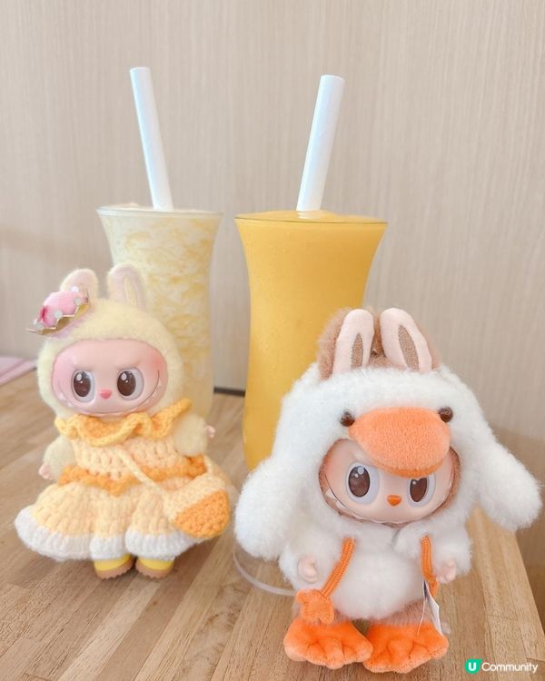 九龍城食正宗惹味泰菜｜有人情味的泰式小店