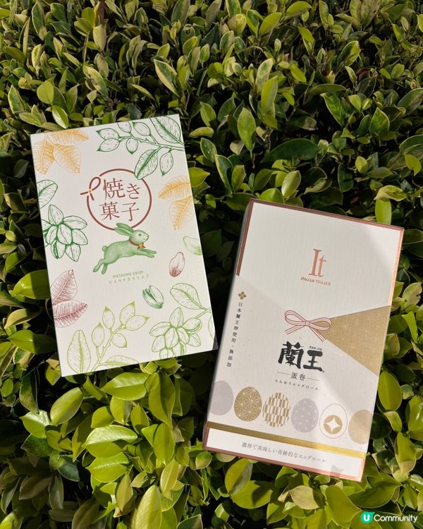 開心果薄脆+蘭王蛋卷🤤！香港手信推介！