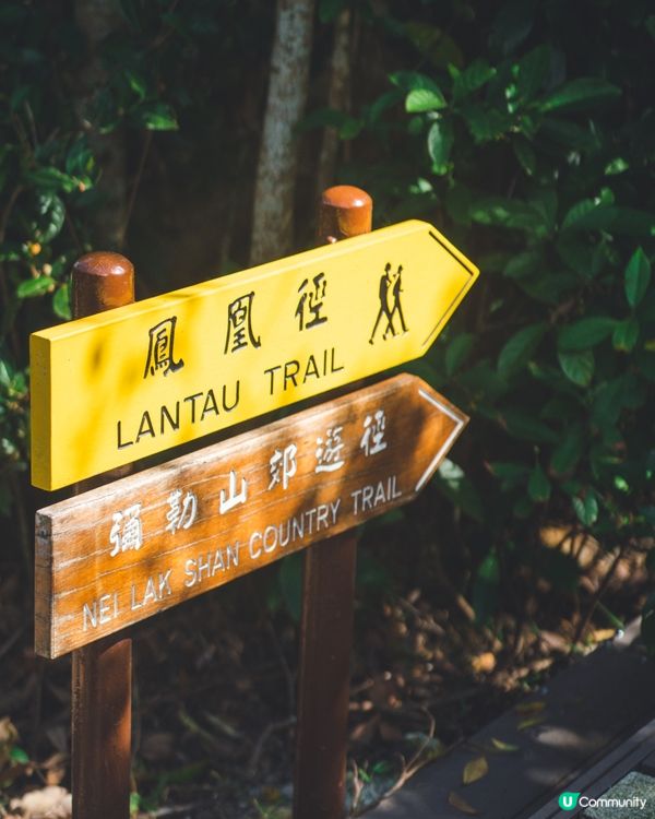 【昂坪行山探索遊】四大山徑+纜車85折優惠全解析